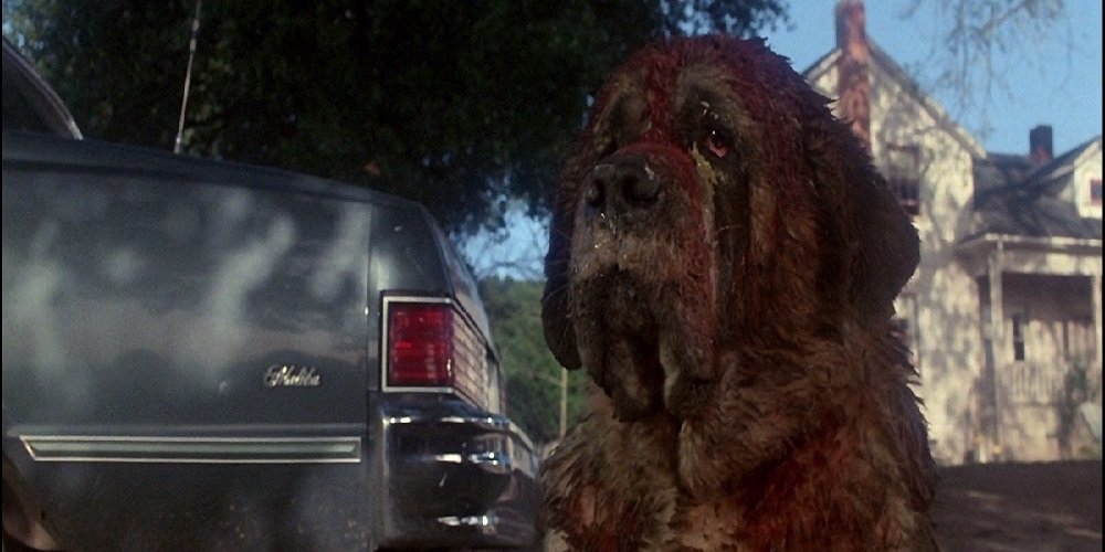 CUJO | Clássico de King é muito mais do que uma história de terror