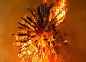 Entre produções e premiações, tudo que foi adiado por conta dos Incêndios em Los Angeles