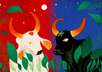 Parintins 2025 | Vai começar o Maior Festival Folclórico da Amazônia